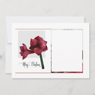 Cartão De Festividades Elegante 1 Foto com Amaryllis Flower, Natal