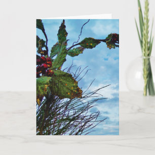 Cartão De Festividades Elegante Holly Christmas, céu azul