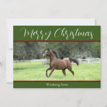 Elegante Red Arabian Horse 1 Foto Natal