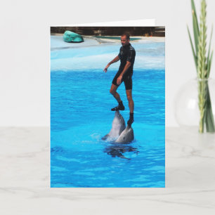 Cartão De Festividades Em pé sobre golfinhos