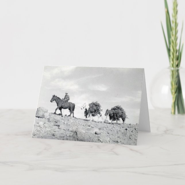 Cartão De Festividades Embalando para fora árvores de Natal (Frente)