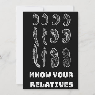 Cartão De Festividades Embriogênese Evolutiva