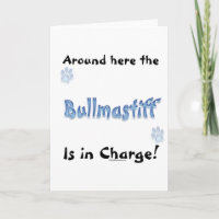 Encargo Bullmastiff