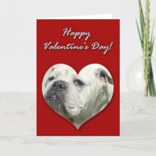 Cartão De Festividades English Bulldog Valentines Day Card