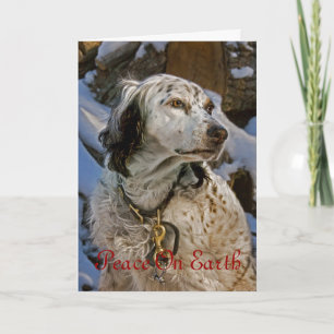 Cartão De Festividades English Setter #2 Holiday Card