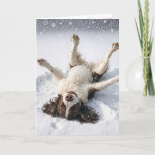 Cartão De Festividades English Springer Spaniel Anjo de Neve