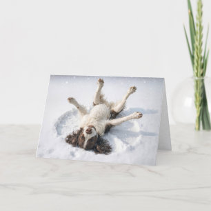 Cartão De Festividades English Springer Spaniel Fazendo um Anjo de Neve