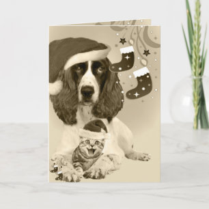 Cartão De Festividades English Springer Spaniel Xmas