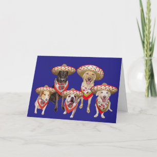 Cartão De Festividades Engraçado Aniversário Espanhol do Grupo