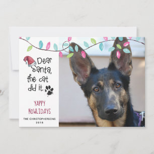 Cartão De Festividades Engraçado Cão Dizendo Luzes de Pastel Foto