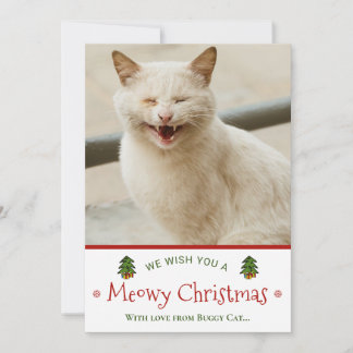Cartão De Festividades Engraçado Da Foto De Natal De Cat Meowy