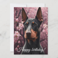 Engraçado doberman.