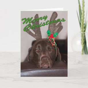 Cartão De Festividades Engraçado Labrador Glitter Antlers Dentro de Texto