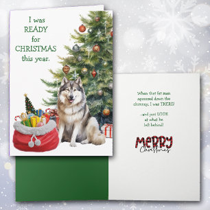 Cartão De Festividades Engraçado Malamute Cão Pronto para o Natal