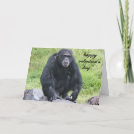 Cartão De Festividades Engraçado Namorados Chimpanzé, quer macaco por aí?