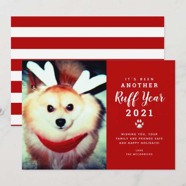 Cartão De Festividades Engraçado Natal 2021 Red Ruff Year Dog Photo (Frente/Verso)