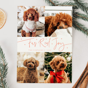Cartão De Festividades Engraçado Pelo Real Jogo Foto de Cachorro Peach Na