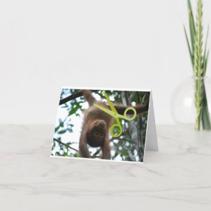 Cartão De Festividades Engraçado Vasectomia