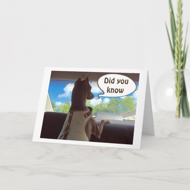 CARTÃO DE FESTIVIDADES ESPERO QUE SEU NATAL SEJA "TÃO ESPECIAL QUANTO VOC (Frente)