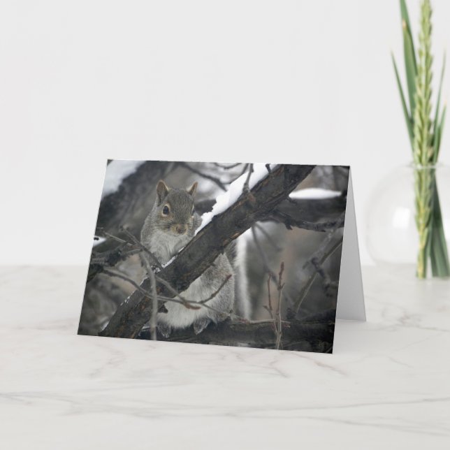 Cartão De Festividades Espião pequeno peludo (Frente)