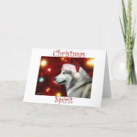 Espírito de Malamute no Alasca