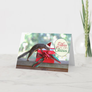 Cartão De Festividades Esquilo Aberto Natal Presente