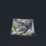 Cartão De Festividades Esquilo (cinzento) cinzento da neve do inverno…<br><div class="desc">Cartão de Natal (cinzento) cinzento do feriado do esquilo da neve do inverno……</div>