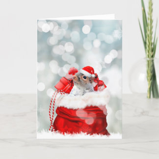 Cartão De Festividades Esquilo de Natal