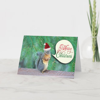 Cartão De Festividades Esquilo de Natal com Fundo de Árvore Evergreen