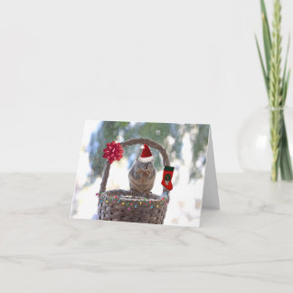 Cartão De Festividades Esquilo de Natal em Snowy Basket