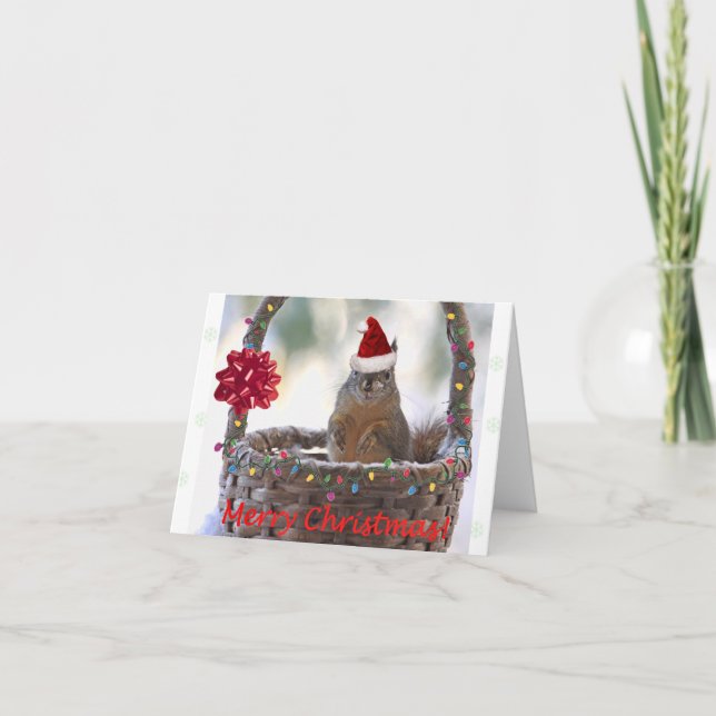 Cartão De Festividades Esquilo de Natal engraçado (Frente)