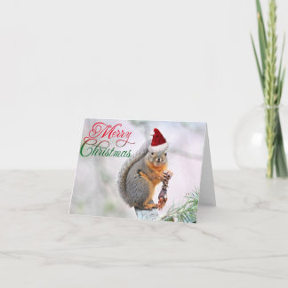 Cartão De Festividades Esquilo Feliz de Natal
