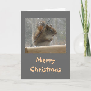 Cartão De Festividades Esquilo Feliz Natal