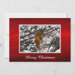 Cartão De Festividades Esquilo, Neve, Vermelho, Árvore Foto de Natal Fla