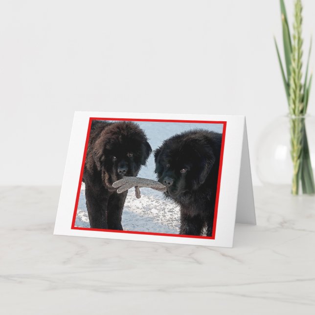 Cartão De Festividades Estação melhor….Vazio (Frente)