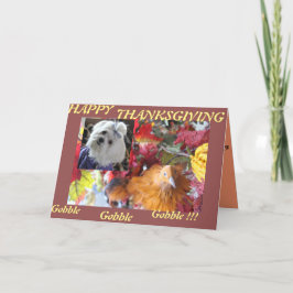 Cartão De Festividades Estações Maltesas Saem de Design