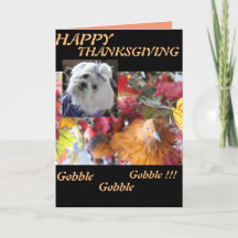 Estações Maltesas Saem de Design