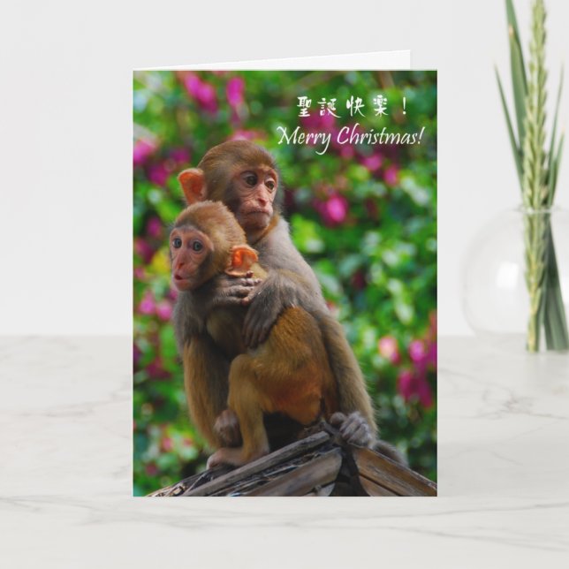 Cartão De Festividades Estar juntos no Natal (Frente)