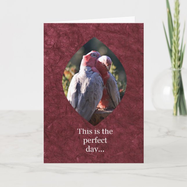 Cartão De Festividades Este é o dia perfeito (Frente)