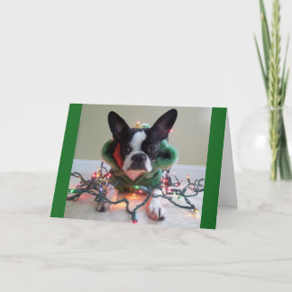 Cartão De Festividades Este material do DUENDE é TRABALHO!