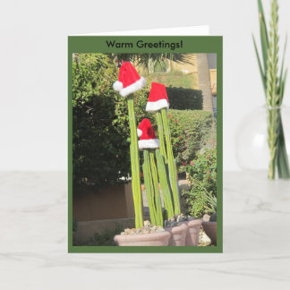 Cartão De Festividades Estilo da arizona do Natal!