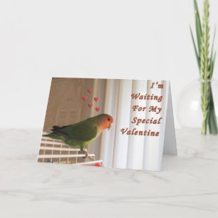 Cartão De Festividades Estou esperando