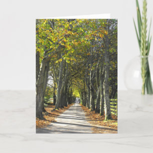 Cartão De Festividades Estrada rural em Jersey