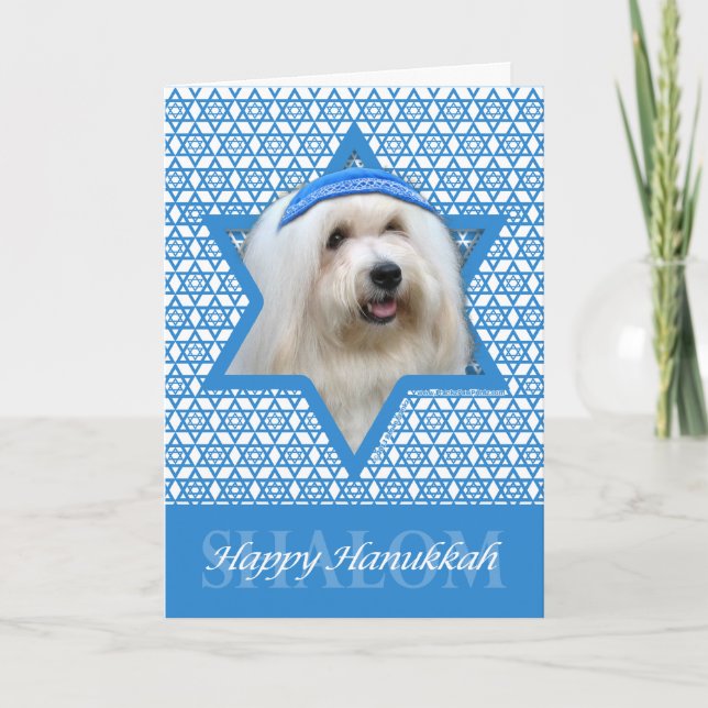 Cartão De Festividades Estrela de Hanukkah de David - Coton de Tulear (Frente)