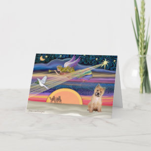 Cartão De Festividades Estrela de Natal - Cairn Terrier pup nº 7 -