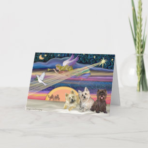 Cartão De Festividades Estrela de Natal - Cairn Terrier (três) -