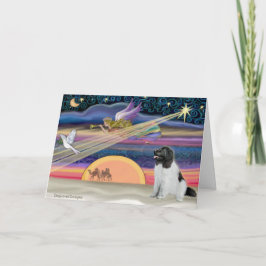 Cartão De Festividades Estrela de Natal - Terra Nova (Landseer)