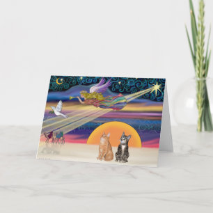 Cartão De Festividades Estrela do Xmas - Gatos de Comprimido Castanho e L