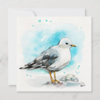 Estudo de Seagull 1