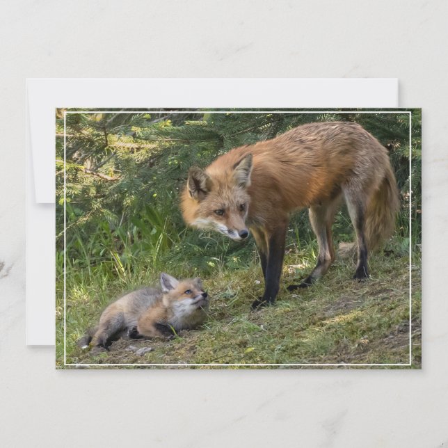 Cartão De Festividades Eu Amo Minha Mãe (Frente)